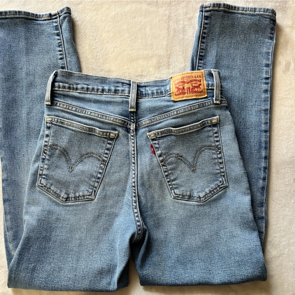 Levi's Women's Light Wash Wedgie Straight Jeans
